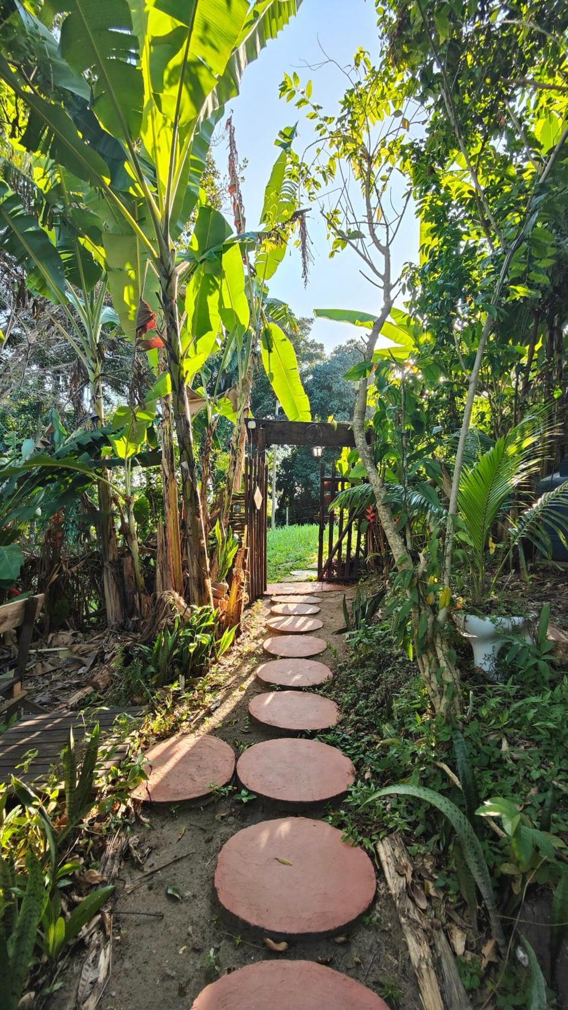 Eco Hostel Bosque Di Barro Velha Boipeba Екстер'єр фото